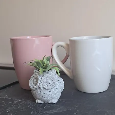 アパート Trilocale Tra Natura, Metro E Life! Via Genova 229 Indirizzo Corretto